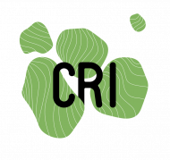 Center for Research and Interdisciplinarity (CRI)