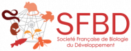 SFBD logo